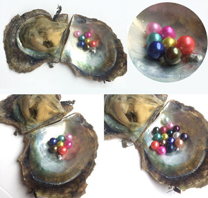 <span class=keywords><strong>Ostriche</strong></span> Akoya all'ingrosso <span class=keywords><strong>con</strong></span> perle rotonde - Product Image 4
