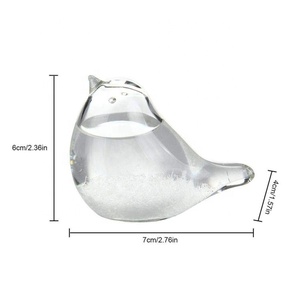 Bouteille de prévision météorologique pour oiseaux, verre à <span class=keywords><strong>tempête</strong></span>, prédicteur météorologique, mini bouteilles décoratives, décoration artisanale de bureau - Product Image 3