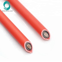 Cable Solar Fotovoltaico XLPE PV1-F DC de un Solo Núcleo y Doble Núcleo H1Z2Z2-K 2.5mm2 4mm2 6mm2 10mm2 10AWG 12 AWG 14AWG con Certificación CE TUV 2PfG 1169