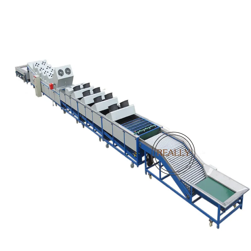 Máquina de encerado de cítricos automática, máquina de clasificación de fruta, secado y clasificador, OEM