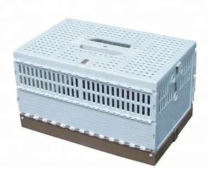 Panier de pigeon de course pliable bon marché, cage de transport d'oiseaux pour animaux de compagnie de volaille autres produits pour animaux de compagnie pour la vente directe du fabricant d'oiseaux - Product Image 1