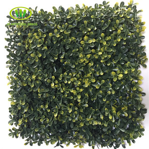 Haie artificielle Location de Mur En Plastique Buis <span class=keywords><strong>Avenue</strong></span> - Product Image 1