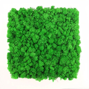 Pannello Murale in Muschio di Renna Naturale Stabilizzato, Decorazione Natalizia Preservata per DIWALI <span class=keywords><strong>e</strong></span> Battesimo, Elemento Decorativo per la <span class=keywords><strong>Casa</strong></span> - Product Image 4