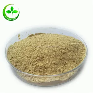 100% nature ginseng powder for ginseng 100 capsules/ginseng capsules buy india