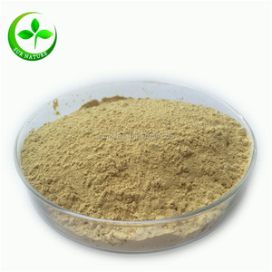 <span class=keywords><strong>100</strong></span>% Bubuk <span class=keywords><strong>Ginseng</strong></span> Alami untuk Kapsul <span class=keywords><strong>100</strong></span> <span class=keywords><strong>Ginseng</strong></span>/Kapsul <span class=keywords><strong>Ginseng</strong></span> Beli India