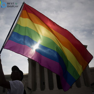Декоративный флаг LGBT с радужной ручкой для геев с пластиковой палкой - Product Image 6