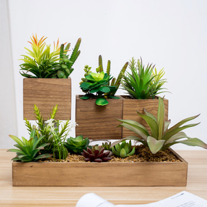 Nuevo diseño barato al por mayor de increíble artificial plantas <span class=keywords><strong>suculentas</strong></span> escritorio decoración del hogar para venta - Product Image 6