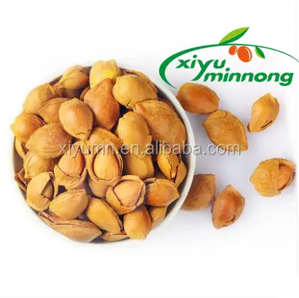 Nueces de albaricoque a granel/granos de albaricoque secos a la venta