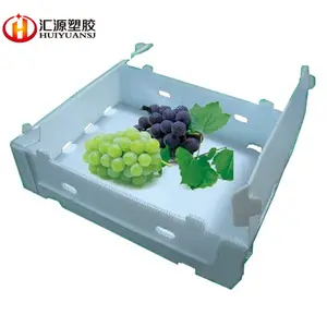 Sıcak satış karton yivli polipropilen plastik karton kutu için meyve sebze paketleme