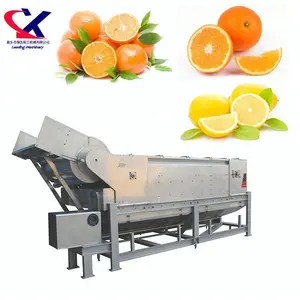 Large Scale High Quality Fruit Oil Extraction Process Machine