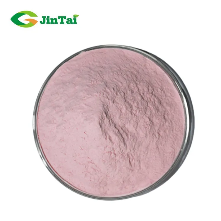 organic watermelon extract powder watermelon fruit juice powder watermelon powder