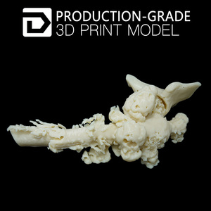 Bajo costo prótesis prototipo rápido <span class=keywords><strong>3D</strong></span> impresión personalizada implantes médicos - Product Image 3