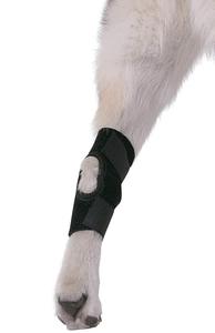 تخصيص شعار قابل للتعديل الكلب دعامة للساق بالكامل Kneecrap ل العرقوب مشترك الأغطية يحمي الجروح