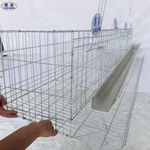 Cages à batterie pour poules pondeuses, équipement d'élevage avicole, seaux d'alimentation et d'abreuvement pour poulets - Product Image 4