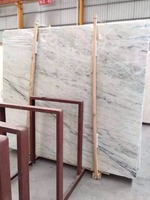 Carrelage de sol en marbre de jade de Birmanie blanc pur élégant