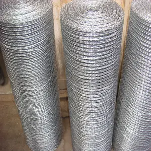 Factory von Galvanized Square draht mesh/draht mesh netting/fenster platz mesh