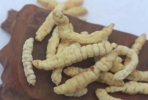 Khô thực phẩm sức khỏe stachys siebolidii rhizome tự nhiên làm sạch nguyên liệu khô stachys siebolidii miq rễ - Product Image 3