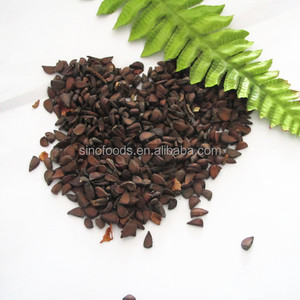 تصنيع توريد أعلى نقاء الهجين بذور البابايا - Product Image 3