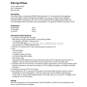 Simplemente cDNA síntesis 50 rxns GScript Rtase - Product Image 1