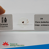 Fixed items Best selling Zoology of Mammalian animal histological slides prepared slides