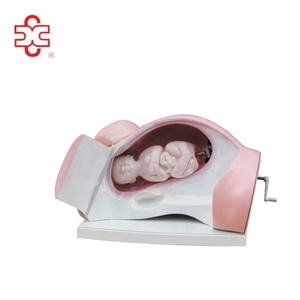 <strong>Baby</strong> Birth Medical <strong>Simulation</strong> - Product Image 1