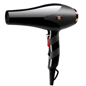 New Style Salon Profession eller Haartrockner Nylon material mit Wechselstrom motor