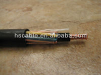 Cable Concéntrico de Servicio Aéreo de 2x6 mm2 con Cable de Comunicación Airdac