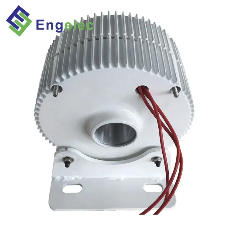 300 W generatore a magnete permanente vento turgbine/hydro uso PMG trifase alternatore 48 volt