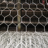 Cage à poulet de haute qualité avec treillis métallique hexagonal galvanisé de 50m Prix d'usine