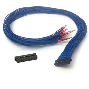 Auto DF11-24DS-2C 24 pin connector 2.0mm pitch socket terminals wire harness custom 22 AWG Cable Assembly