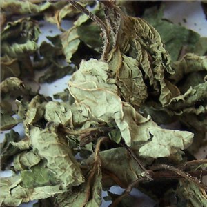 Ning Meng Xiang Feng Ye Nouvelle Récolte d'Herbes Épices <span class=keywords><strong>Feuilles</strong></span> de Mélisse Séchées - Product Image 3