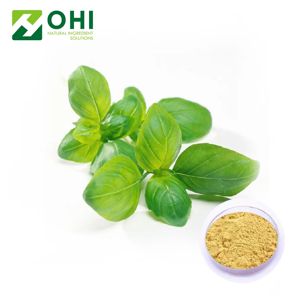 Chất Lượng Cao Holy Herb Extract/Darutoside Chiết Xuất Bột