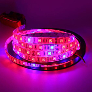 ENJO Lámparas de <span class=keywords><strong>cultivo</strong></span> y partes de las mismas rojo azul 5050 grow <span class=keywords><strong>LED</strong></span> strip Light para el crecimiento de las plantas - Product Image 4