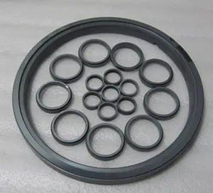 Wear-resisting silicon carbide sealing ring manufacturer Aryan
