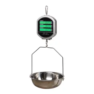 Double-sided camry kitchen hanging price scale 30kg