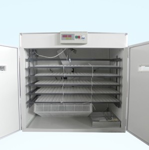 <span class=keywords><strong>Setter</strong></span> và <span class=keywords><strong>hatcher</strong></span> kết hợp 1056 Máy ấp trứng hoàn toàn tự động, Máy ấp trứng 1000, Máy Ấp Trứng để bán - Product Image 4