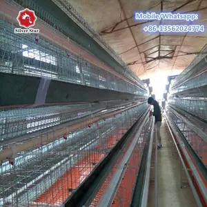 Batteria di pollo gabbie per i livelli e allevatori