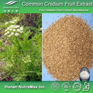 Estratto di B2B Cnidii Fructus 10%-98% estratto di <span class=keywords><strong>Osthole</strong></span> Cnidii Monnieri Fructus - Product Image 4