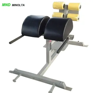 Commercial Bench Glute Ham Raise New Products China Supplier Sports Fitness Gym Equipment Exercise Machine for Sale