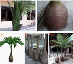 Tất Cả Các Loại Cây Nhiệt Đới Cây Cọ Nhân Tạo Và Cây Bán Buôn Vườn Trang Trí Chai Cây Cọ Để Bán - Product Image 6