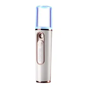 Kostenloser Versand Tragbare Nano Spray Wasser Meter Mini Schönheit Instrument Gesichts Luftbefeuchter Pflege Werkzeuge USB Lade Dropahipping