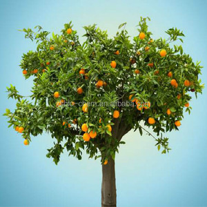 Alta calidad GMP natural boro quelato aminoácido polvo/fertilizante orgánico - Product Image 3