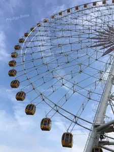 Noria de atracciones gigante al aire libre noria decorativa de Navidad a la venta