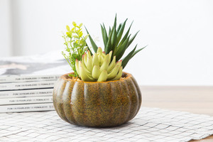 Nuovo disegno a buon mercato all'ingrosso vero tocco bella artificiale piante succulente in vaso di <span class=keywords><strong>zucca</strong></span> per la decorazione - Product Image 4