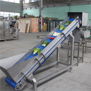 Lwt Verwerkingsapparaat Voor Groenten En Fruit <span class=keywords><strong>Lift</strong></span> Transportband - Product Image 4