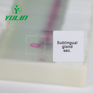 Studenten Lab biologie Menschlichen Medizinische Pathologie mikroskop vorbereitet folien 100 stücke set - Product Image 6