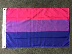 Symbole de transgenre pour lesbiennes Gay, 3x5, drapeau de cheveux naturels, œillets de 3 pouces - Product Image 5