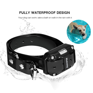 <span class=keywords><strong>Wodondog</strong></span>-Collar de entrenamiento eléctrico para perros, L880-1 de alarma de ladridos, resistente al agua, con control remoto de 800m, para 1 equipo de entrenamiento de agilidad - Product Image 3