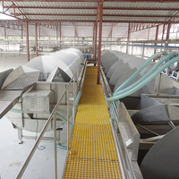 1000BPH Halal Équipement d'abattage De Volaille/Poulet Machines De Traitement De Viande