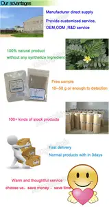 Chiết Xuất Nhân Sâm Nhân Sâm 80% Ginsenosides - Product Image 5